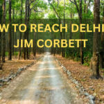 Delhi To Jim Corbett National Park Distance