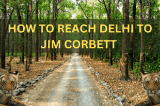 Delhi To Jim Corbett National Park Distance