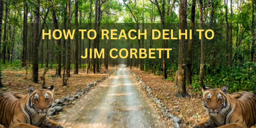 Delhi To Jim Corbett National Park Distance