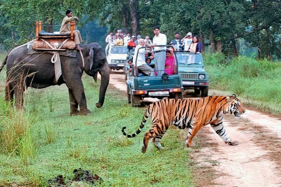 Delhi To Jim Corbett Luxury Tour Package 2023