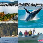 Best places to see in USA in November