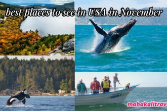 Best places to see in USA in November